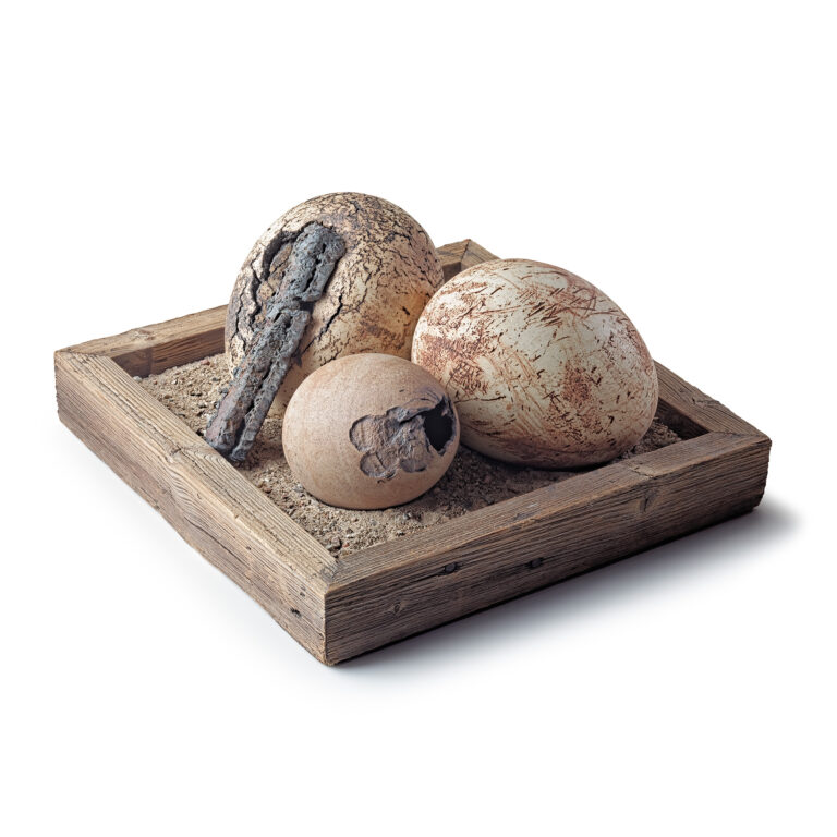 Cathy Fleckstein · Sculpture céramique · Nature morte II