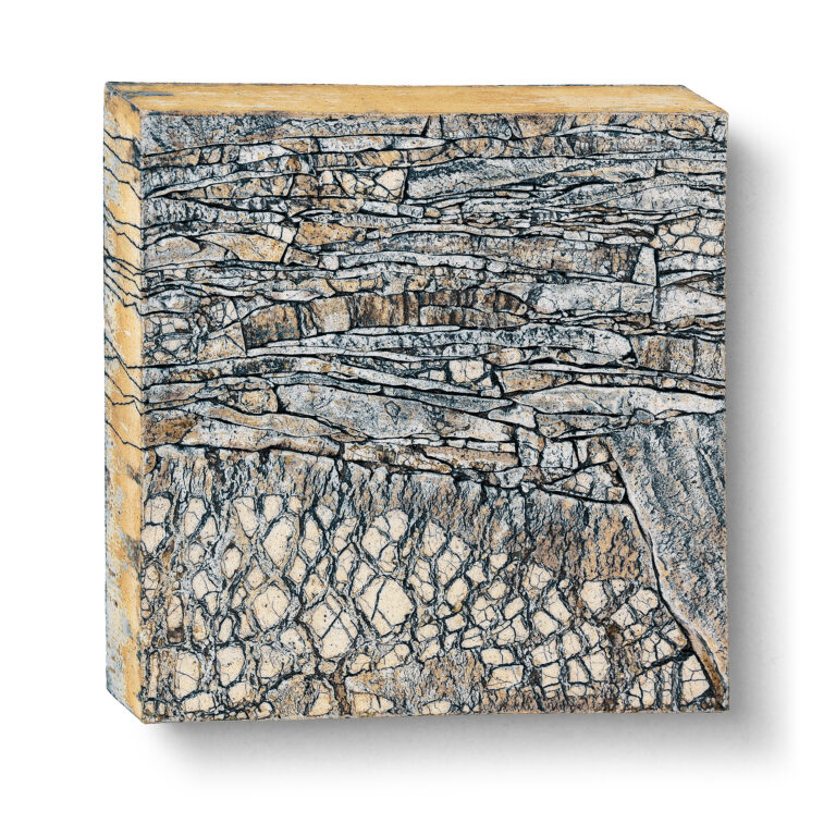 Cathy Fleckstein · Keramische Bildplatte · Ungezähmt